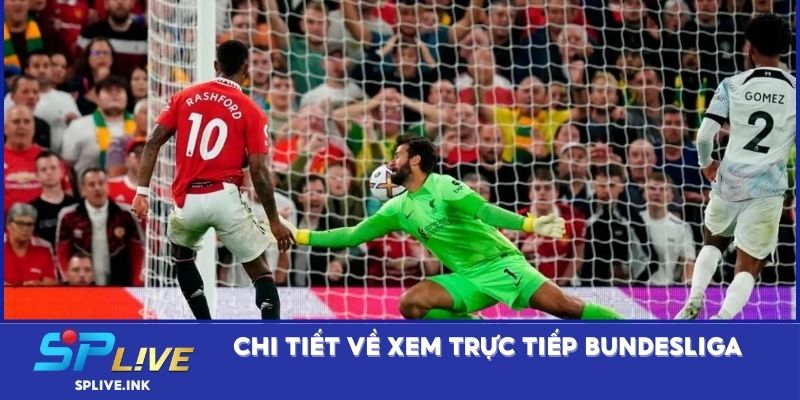 Chi tiết về xem trực tiếp Bundesliga