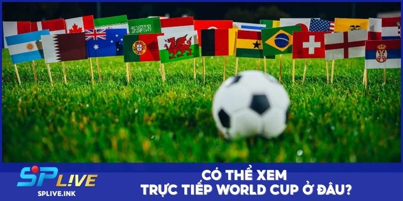 Có thể xem trực tiếp World Cup ở đâu?