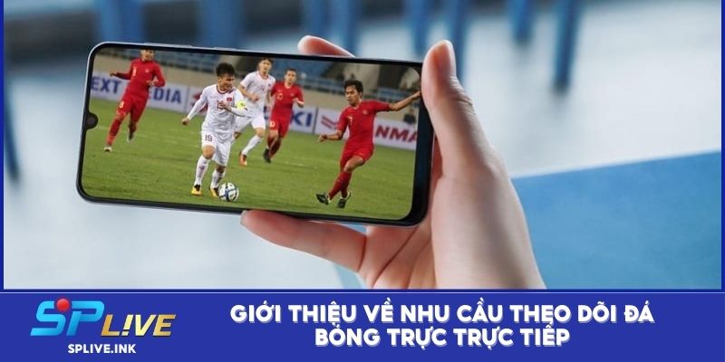 Giới thiệu về nhu cầu theo dõi đá bóng trực trực tiếp