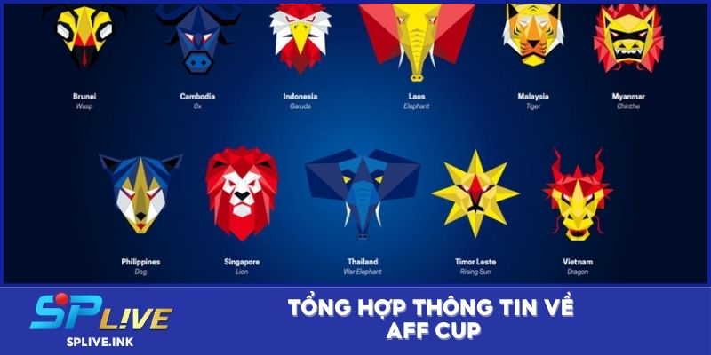 Tổng hợp thông tin về AFF Cup