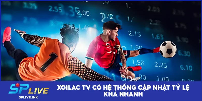 Xoilac TV có hệ thống cập nhật tỷ lệ khá nhanh